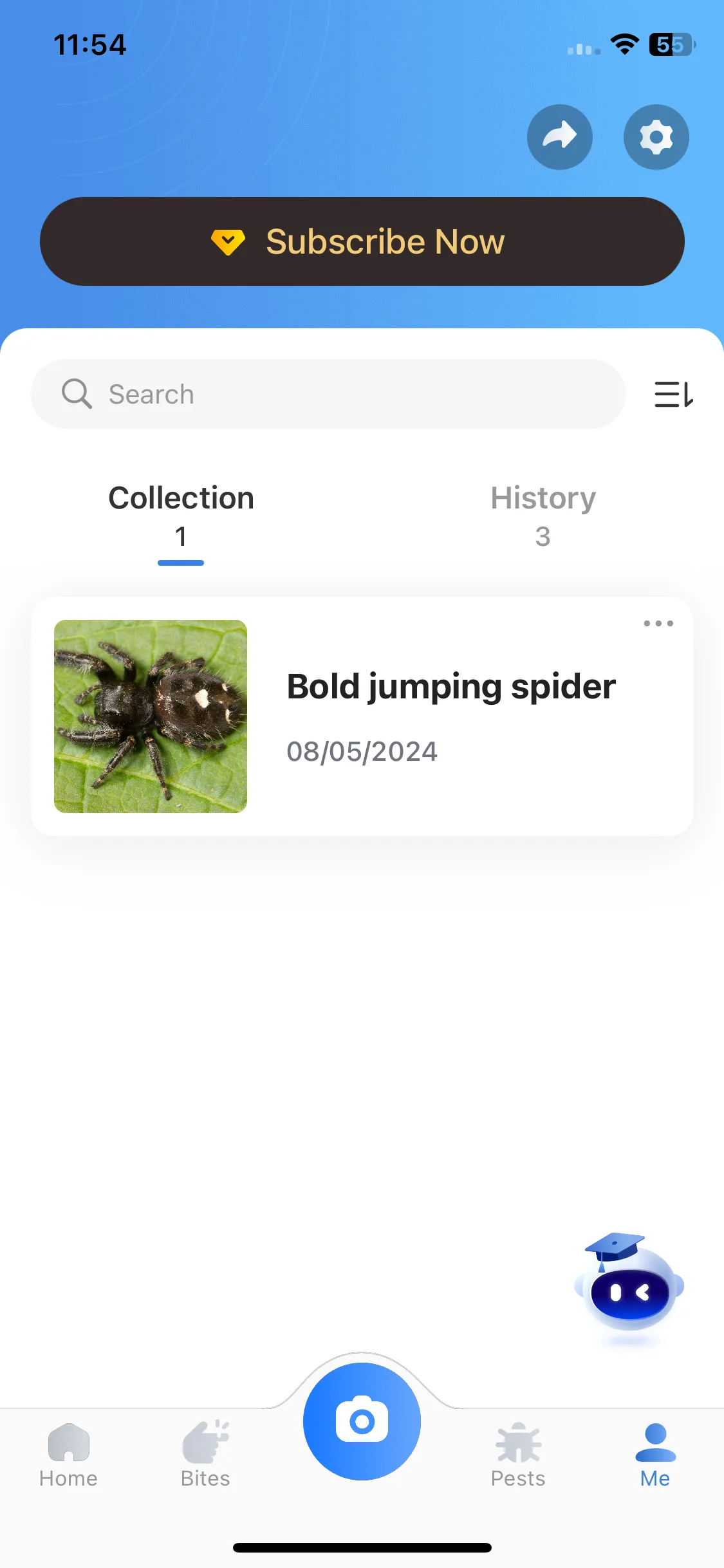 Test Image 3